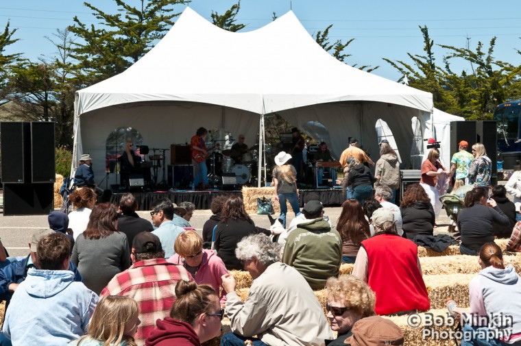 bobminkin-8940<br/>Photo by: Photographs (c) 2011 Bob Minkin
http://www.minkindesign.com/photo/