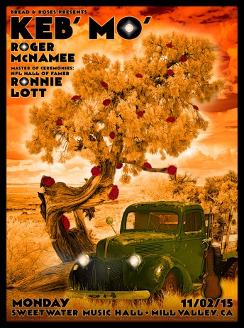 2015-11-02 @ Roger McNamee @ Bread & Roses Benefit w/ Keb Mo'