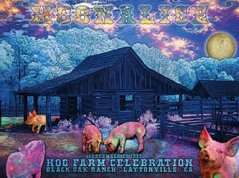 2025-09-20 @ Hog Farm Celebration (acoustic)