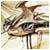 RichardNug's picture