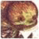 prafilnoe's picture prafilnoe's picture