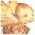 Spenccip's picture Spenccip's picture