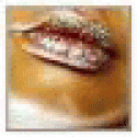 Michaeltem's picture Michaeltem's picture