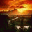 Meshki_tvMi's picture Meshki_tvMi's picture