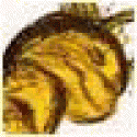 Darwinbrups's picture Darwinbrups's picture