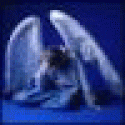 pppaaaMus's picture pppaaaMus's picture