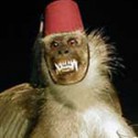 monkeypie's picture monkeypie's picture