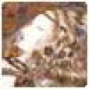 DarylWabe's picture DarylWabe's picture