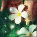 SandraFug's picture SandraFug's picture
