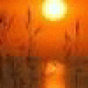 Timothyjax's picture Timothyjax's picture