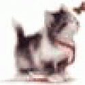 MaxDum's picture MaxDum's picture