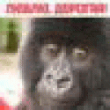 RaymondJed's picture RaymondJed's picture