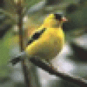 BerrySlorb's picture BerrySlorb's picture