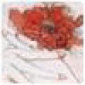 WilliamDob's picture WilliamDob's picture