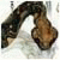 Cryptoofaz's picture Cryptoofaz's picture