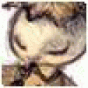 Cryptoxdco's picture Cryptoxdco's picture
