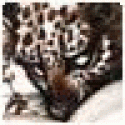 Robertsmeal's picture Robertsmeal's picture